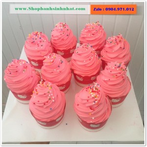 Bánh Sinh Nhật Cupcake - CUP50